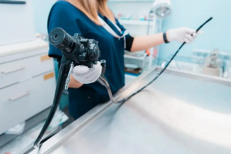 Medic veterinar pregătind endoscopul