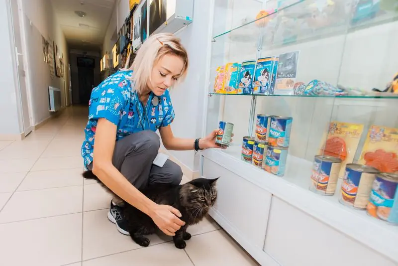 Raft cu hrană și produse veterinare în clinică
